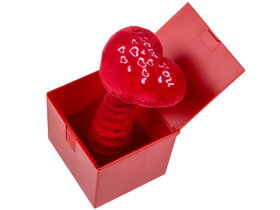 Überraschungsbox für Verliebte
