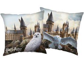 Kinderkissen Harry Potter - Eule Hedwig