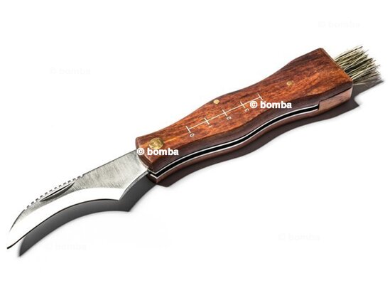 Pilzmesser mit Bürste