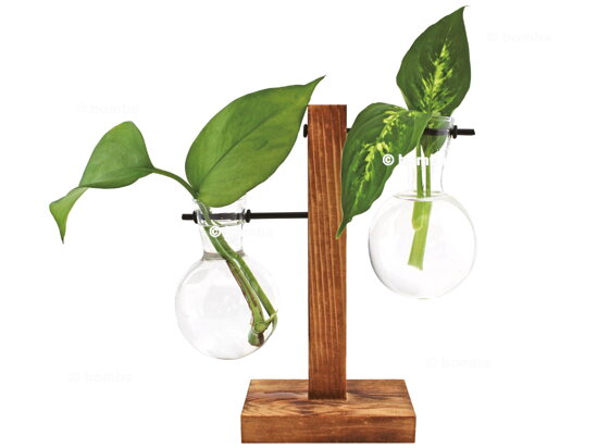 Hydro Vase Fleur