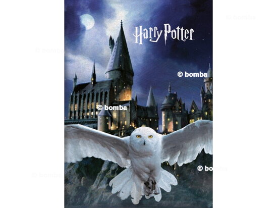 Kinderdecke Harry Potter