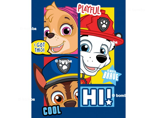 Kinderdecke Paw Patrol Hi