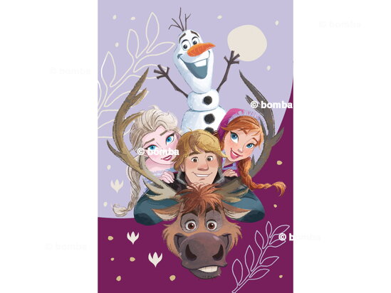 Kinderdecke Frozen Family