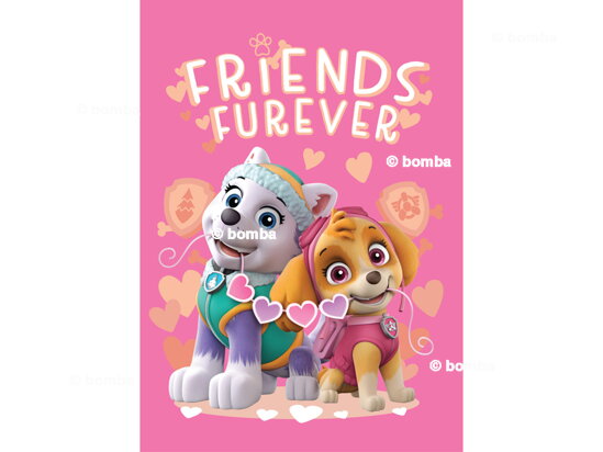 Kinderdecke Paw Patrol Friend Furever