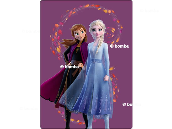Kinderdecke Frozen Anna und Elsa
