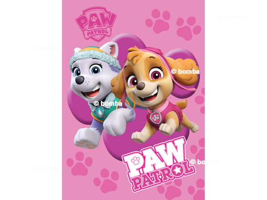 Kinderdecke Paw Patrol Skye und Everest
